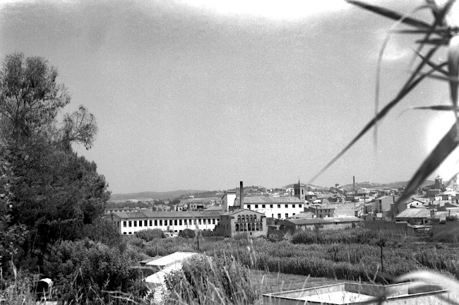 39-6-8_calMoscas_g1_650.jpg